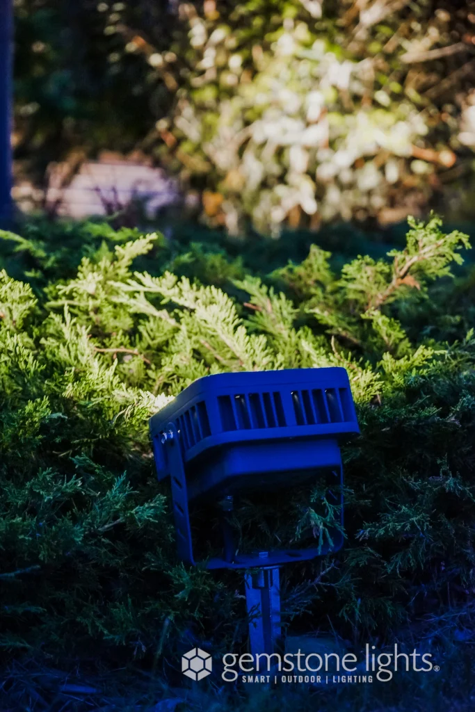 A spotlight illuminates lush greenery in a dimly lit outdoor setting