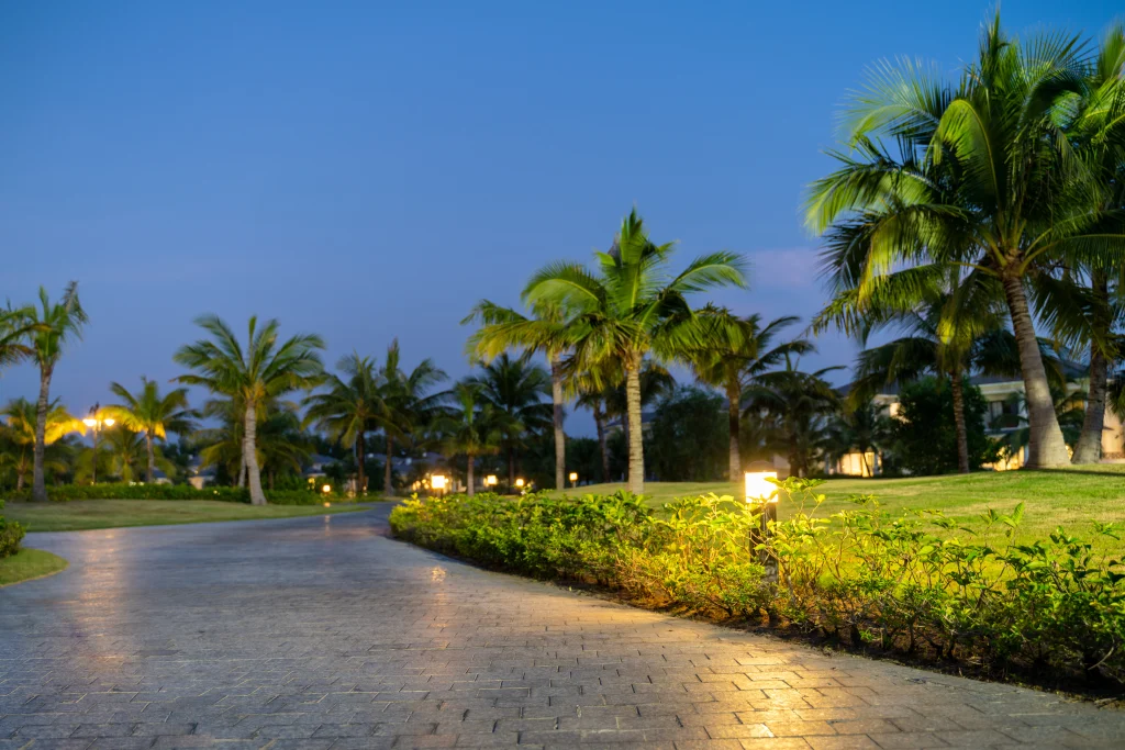 A serene pathway is lined with palm trees and soft evening lights